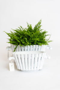 White Bamboo Planter