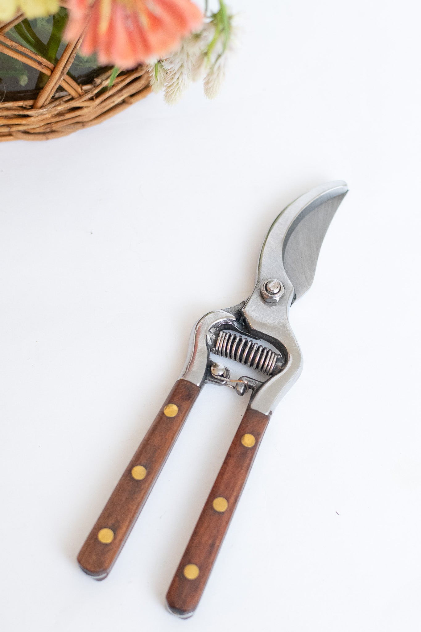 Garden & Kitchen Shears