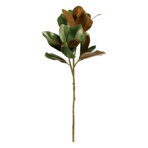 Magnolia Leaf Stem 32”